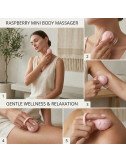 Handle Personal Massager for Women Electric Rechargeable Cordless Waterproof Handheld Vibrator Pleasure Massager for Female Use